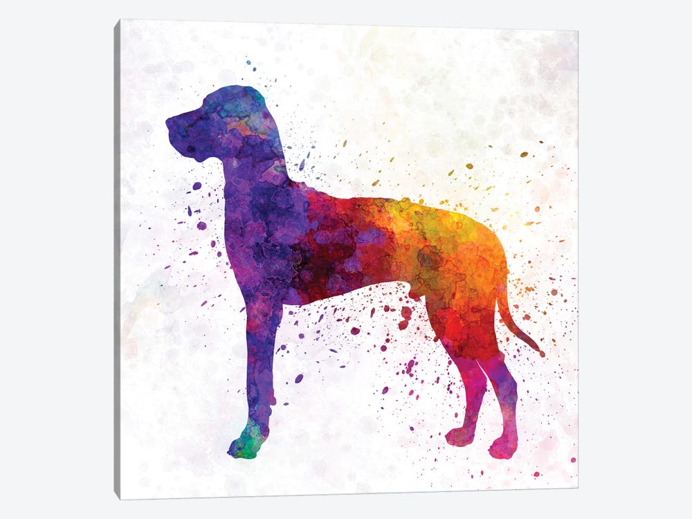 Great Dane In Watercolor by Paul Rommer 1-piece Canvas Print