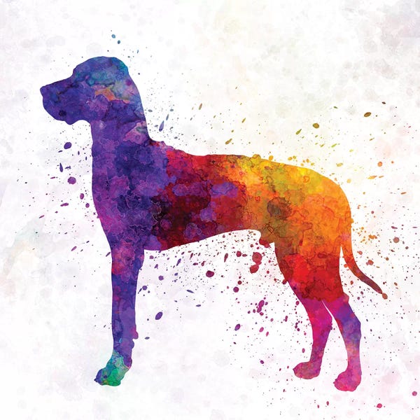 Great Danes: Great Dane In Watercolor by Paul Rommer