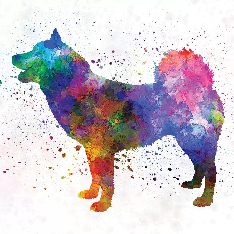 Greenland Dog In Watercolor