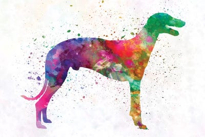 Greyhound In Watercolor by Paul Rommer metal wall art