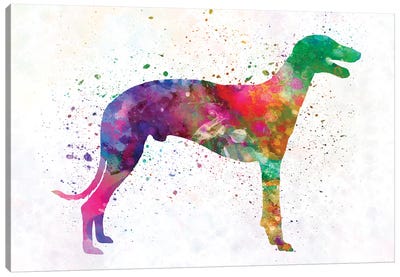 Greyhound In Watercolor Canvas Art Print - Greyhound Art