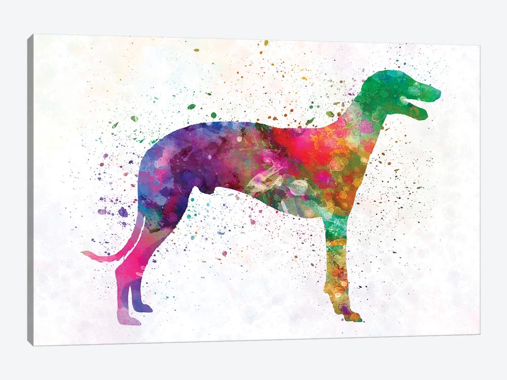 Greyhound In Watercolor by Paul Rommer 1-piece Canvas Art