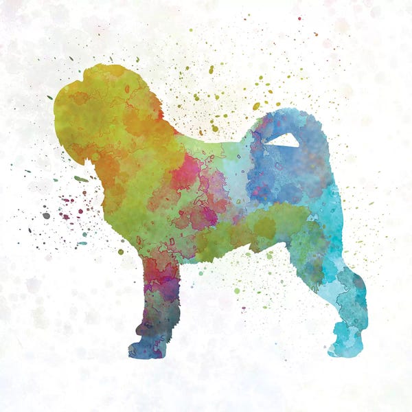 Griffon Belge In Watercolor