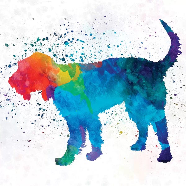 Griffon Nivernais In Watercolor