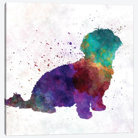 Havanese In Watercolor Canvas Print #PUR325} by Paul Rommer Canvas Art