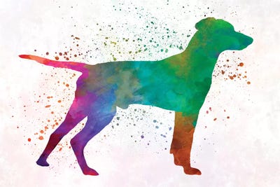 Hellenic Hound In Watercolor by Paul Rommer acrylic art print