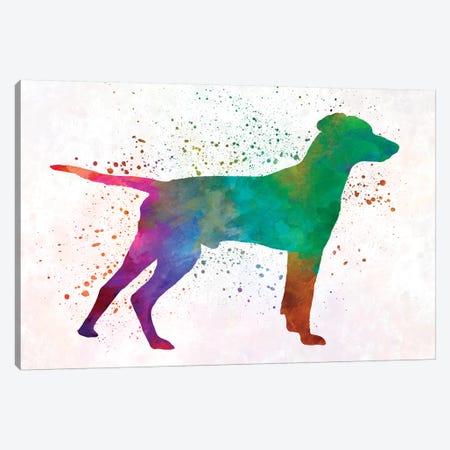Hellenic Hound In Watercolor Canvas Print #PUR328} by Paul Rommer Canvas Art Print