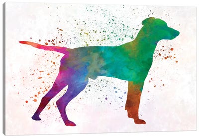 Hellenic Hound In Watercolor Canvas Art Print