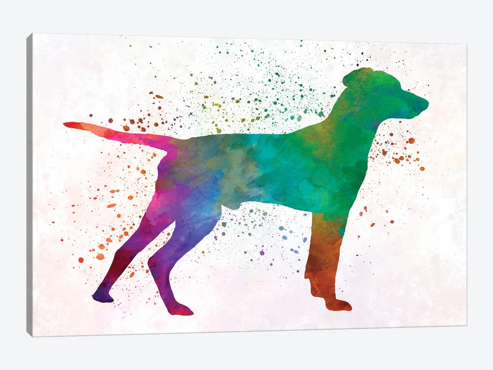 Hellenic Hound In Watercolor by Paul Rommer 1-piece Art Print