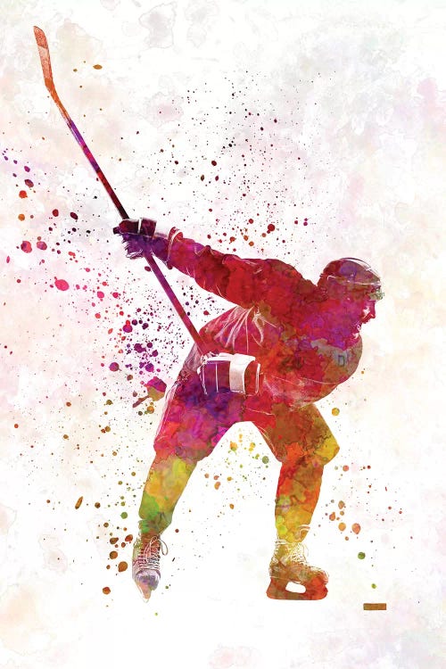 Hockey Skater II by Paul Rommer wall art