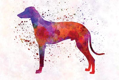Hungarian Greyhound In Watercolor by Paul Rommer metal wall art