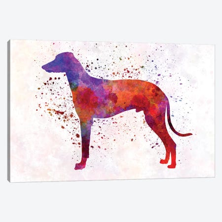 Hungarian Greyhound In Watercolor Canvas Print #PUR354} by Paul Rommer Art Print
