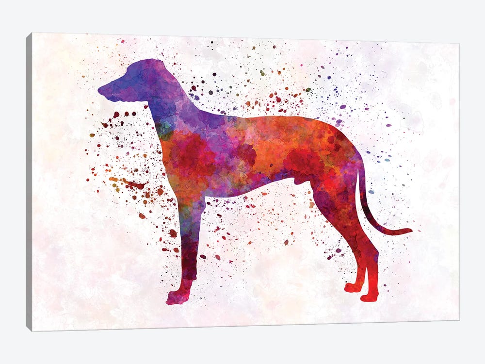 Hungarian Greyhound In Watercolor by Paul Rommer 1-piece Canvas Art