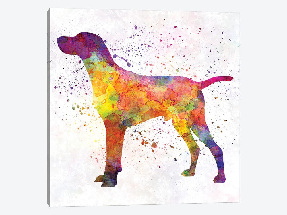 Hungarian Shorthaired Pointer In Watercolor by Paul Rommer 1-piece Art Print