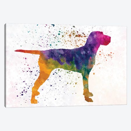 Hungarian Wirehaired Vizsla In Watercolor Canvas Print #PUR356} by Paul Rommer Canvas Print