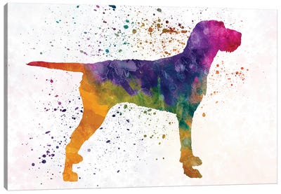 Hungarian Wirehaired Vizsla In Watercolor Canvas Art Print