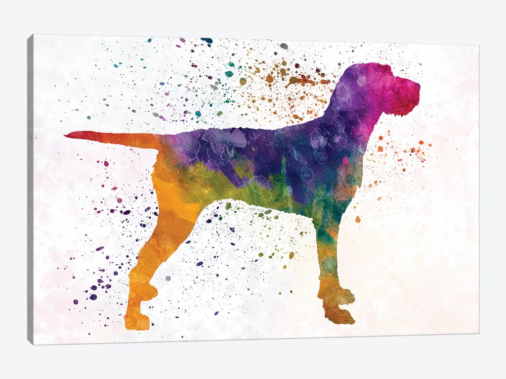 Hungarian Wirehaired Vizsla In Watercolor by Paul Rommer 1-piece Canvas Artwork