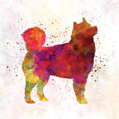 Husky Alaskan In Watercolor by Paul Rommer metal wall art