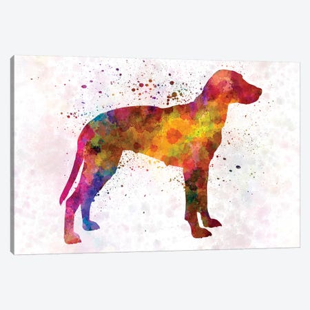 Hygen Hound In Watercolor Canvas Print #PUR358} by Paul Rommer Canvas Art