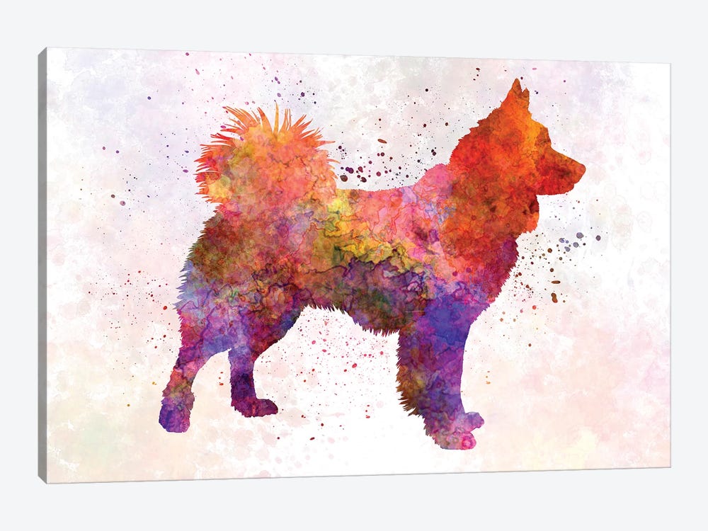 Icelandic Sheepdog In Watercolor by Paul Rommer 1-piece Canvas Art Print