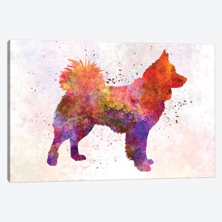 Icelandic Sheepdog In Watercolor Canvas Print #PUR360} by Paul Rommer Canvas Art Print