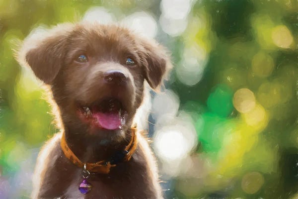 Labrador Retrievers: Dog Bokeh Labrador Retriever In Watercolor by Paul Rommer
