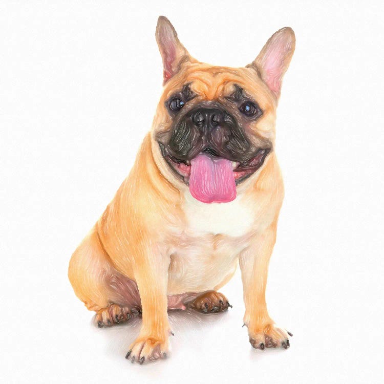 Bulldog Dog In Watercolor
