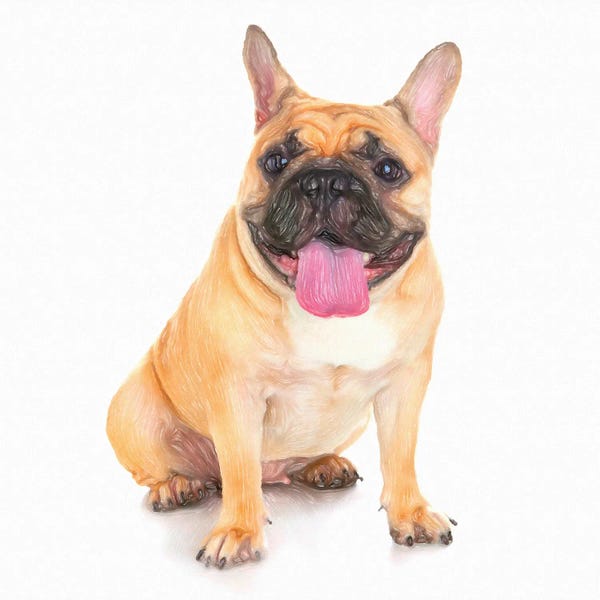 Bulldog Dog In Watercolor