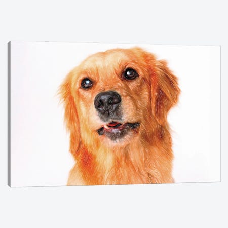Long Haired Golden Retriever In Watercolor Canvas Print #PUR3616} by Paul Rommer Art Print