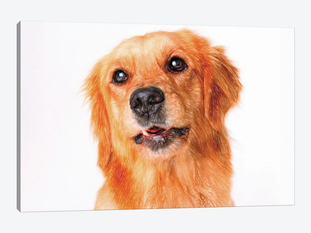 Long Haired Golden Retriever In Watercolor by Paul Rommer 1-piece Canvas Art Print
