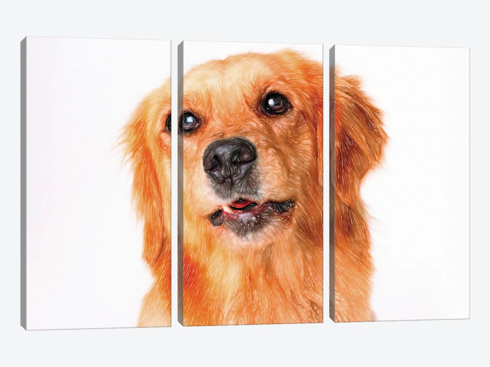Long Haired Golden Retriever In Watercolor by Paul Rommer 3-piece Art Print