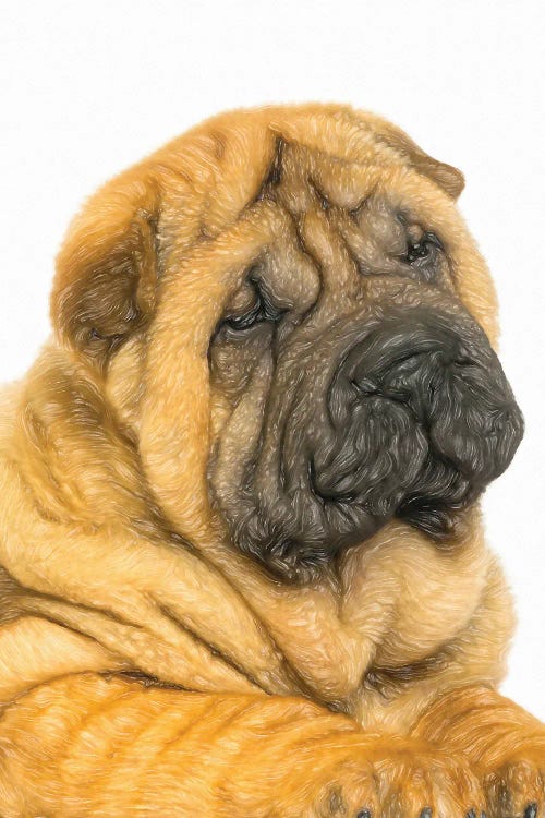 Shar Pei Dogs In Watercolor