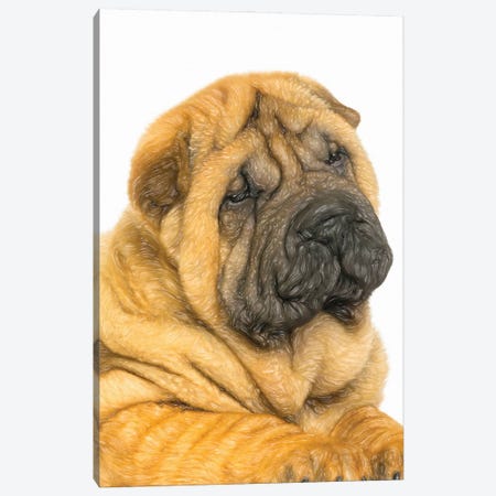 Shar Pei Dogs In Watercolor Canvas Print #PUR3621} by Paul Rommer Art Print