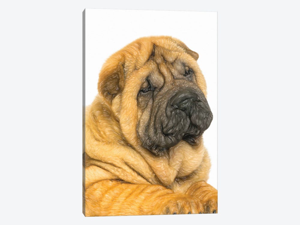 Shar Pei Dogs In Watercolor by Paul Rommer 1-piece Canvas Art Print