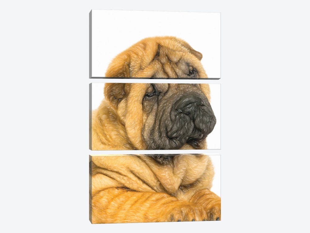 Shar Pei Dogs In Watercolor by Paul Rommer 3-piece Canvas Art Print
