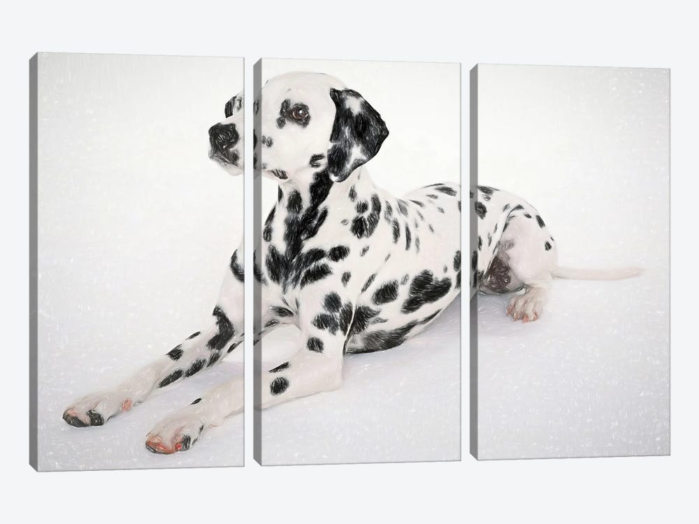 Dalmatian Dog In Watercolor by Paul Rommer 3-piece Canvas Art