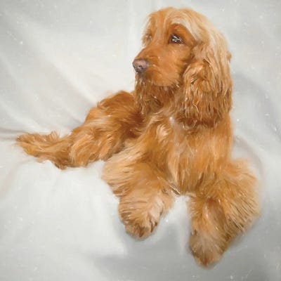 Ginge Spaniel Dogs In Watercolor by Paul Rommer metal wall art