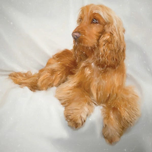 Spaniels: Ginge Spaniel Dogs In Watercolor by Paul Rommer