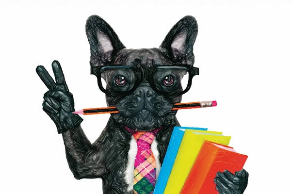 Bulldogs: Dogs In Watercolor by Paul Rommer