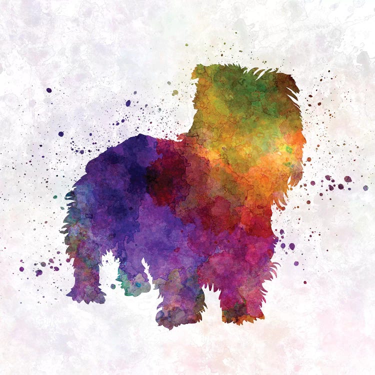 Irish Glen Of Imaal Terrier In Watercolor