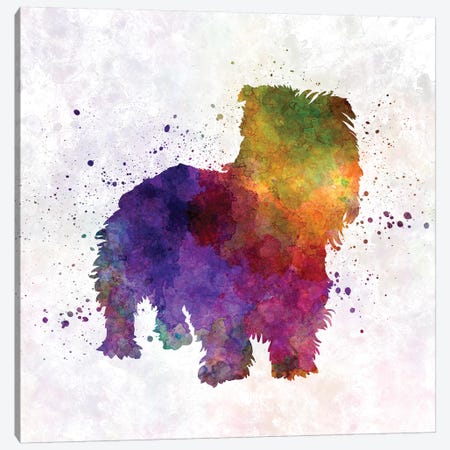 Irish Glen Of Imaal Terrier In Watercolor Canvas Print #PUR368} by Paul Rommer Canvas Print