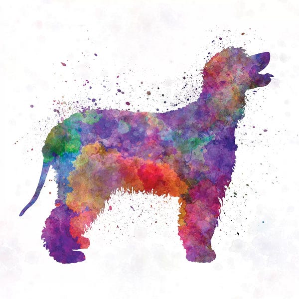 Spaniels: Irish Water Spaniel In Watercolor by Paul Rommer