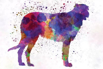 Irish Wolfhound In Watercolor by Paul Rommer art print