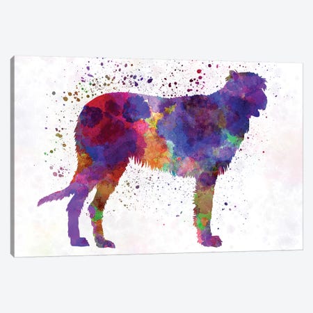 Irish Wolfhound In Watercolor Canvas Print #PUR373} by Paul Rommer Canvas Wall Art
