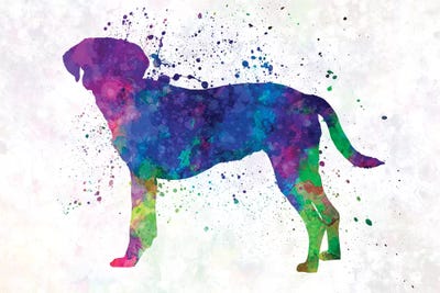 Istrian Scenthound In Watercolor by Paul Rommer acrylic art print