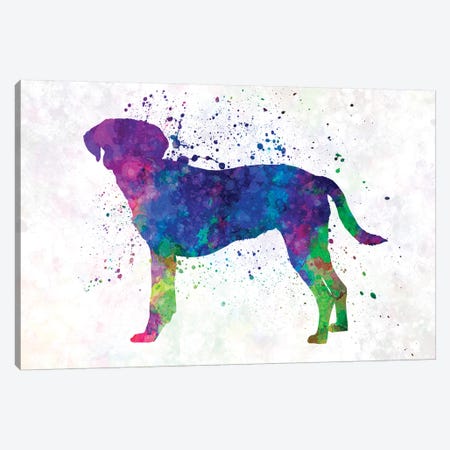 Istrian Scenthound In Watercolor Canvas Print #PUR376} by Paul Rommer Canvas Print