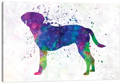 Istrian Scenthound In Watercolor Canvas Art Print
