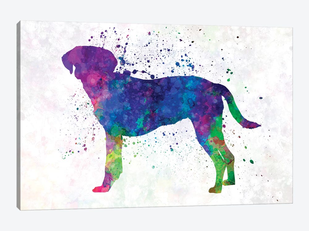 Istrian Scenthound In Watercolor by Paul Rommer 1-piece Canvas Artwork