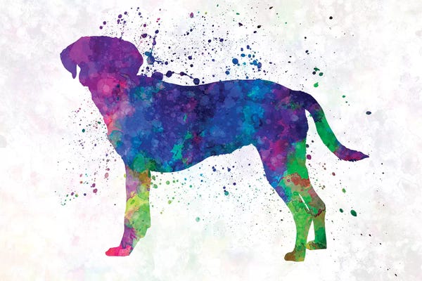 Hounds: Istrian Scenthound In Watercolor by Paul Rommer