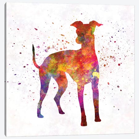 Italian Greyhound In Watercolor Canvas Print #PUR378} by Paul Rommer Canvas Art